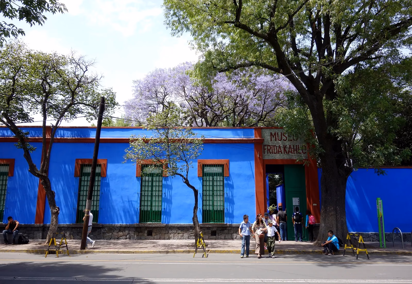 ¿Qué quería estudiar Frida?