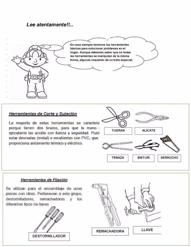 ¿Qué actividades ven los niños en segundo grado de primaria?