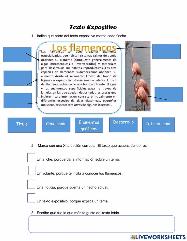 ¿Qué estrategias utilizan los textos explicativos?