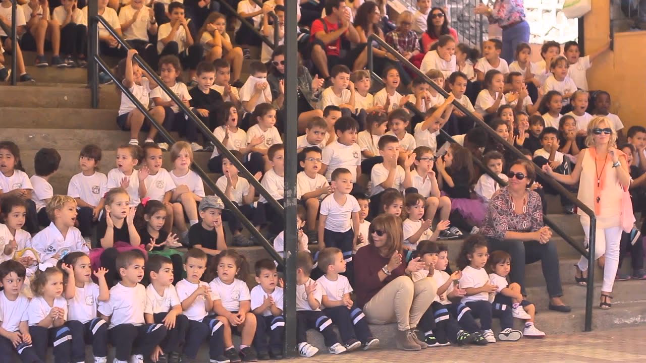 ¿Qué está estudiando Adexe?