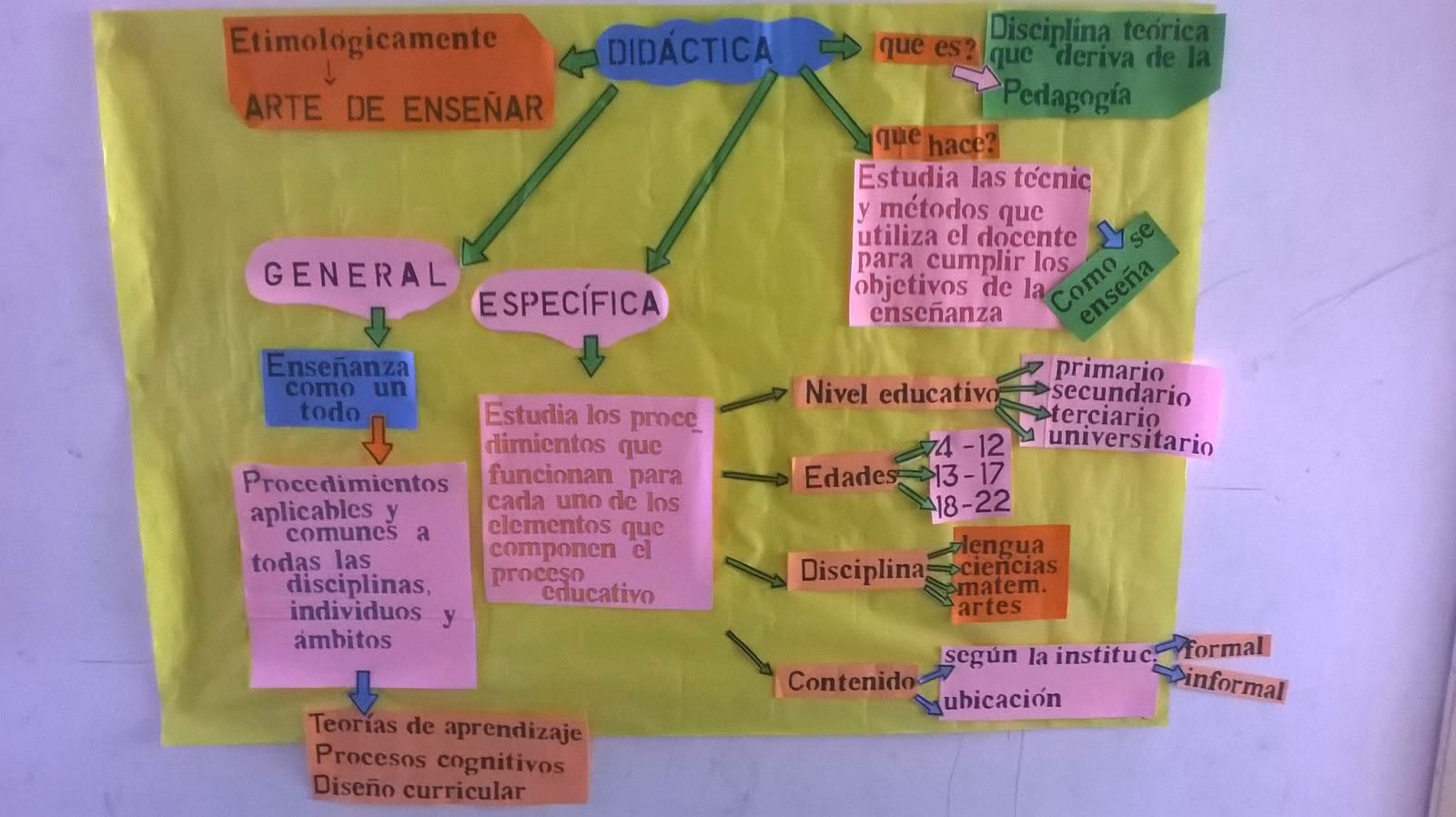 ¿Qué dice Alicia Camilloni sobre la didáctica?