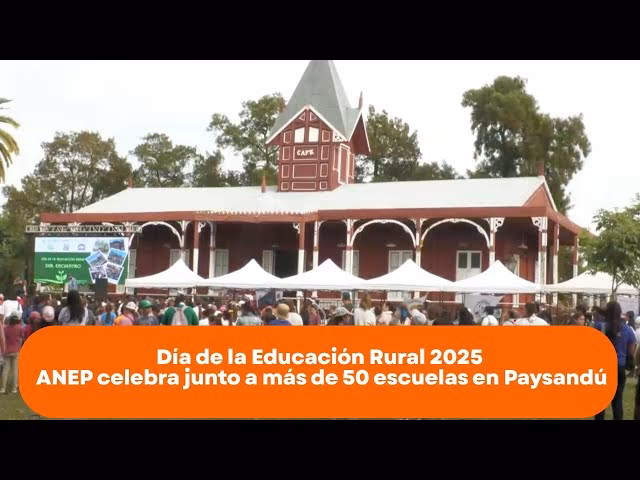 ¿Cómo comunicarse con el ANEP?