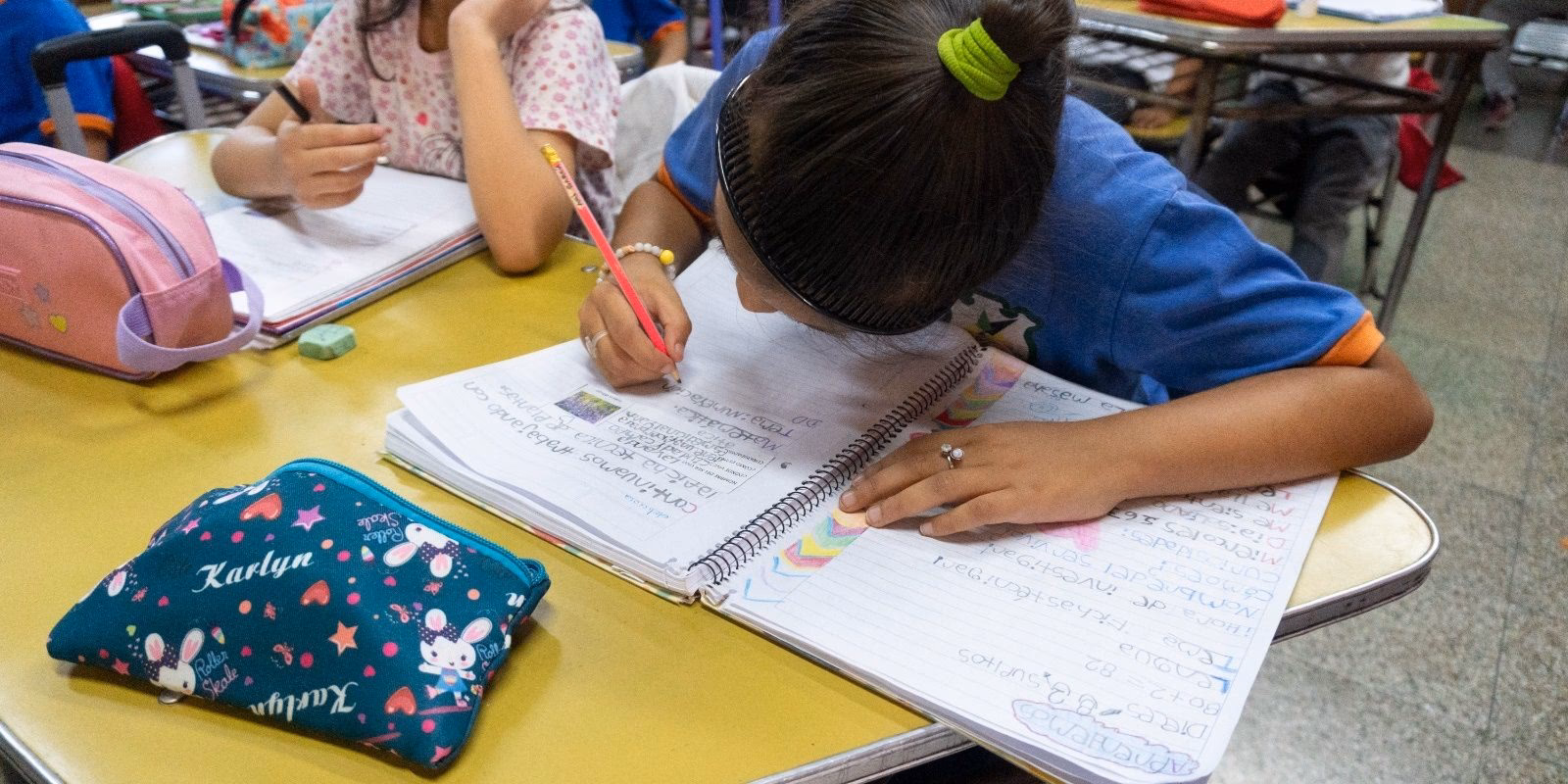 ¿Qué es una escuela de apoyo?