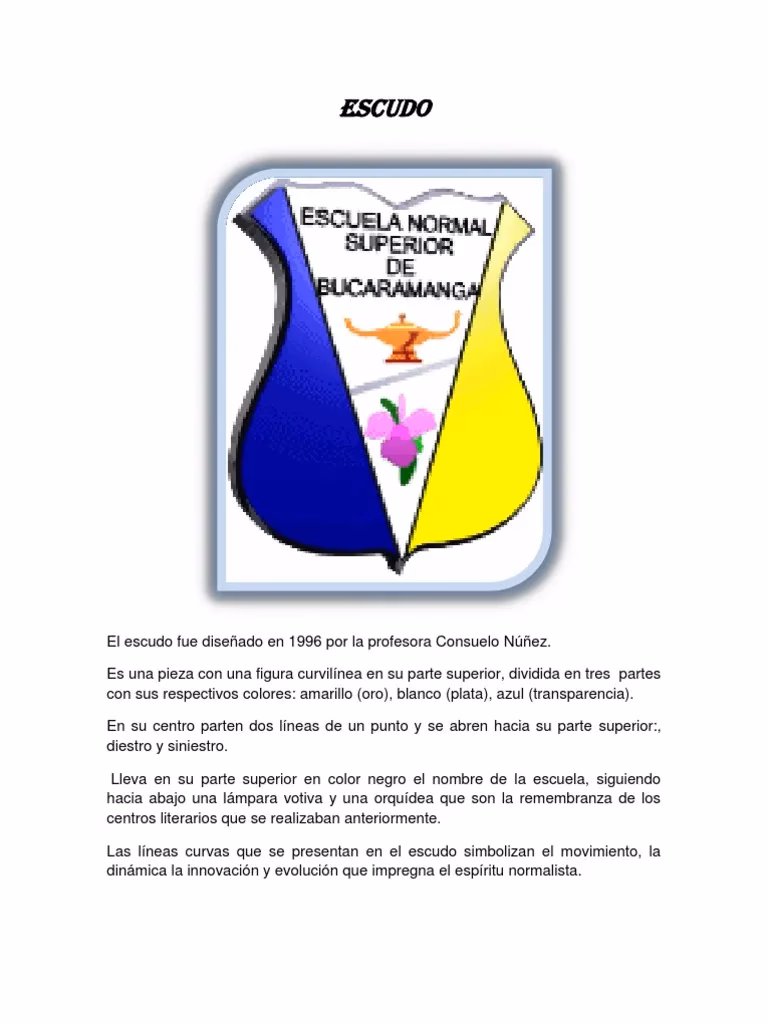¿Qué significa la bandera de la normal?
