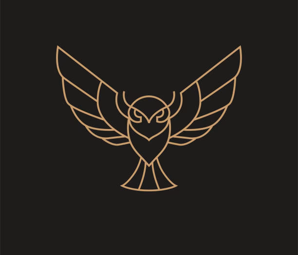 ¿Qué significa el búho en las escuelas?