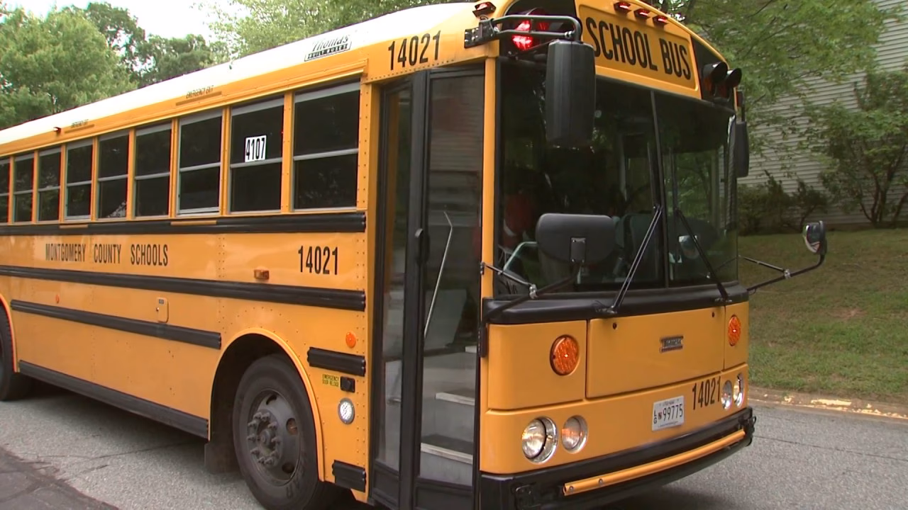 ¿Qué tipo de transporte es el autobús escolar?