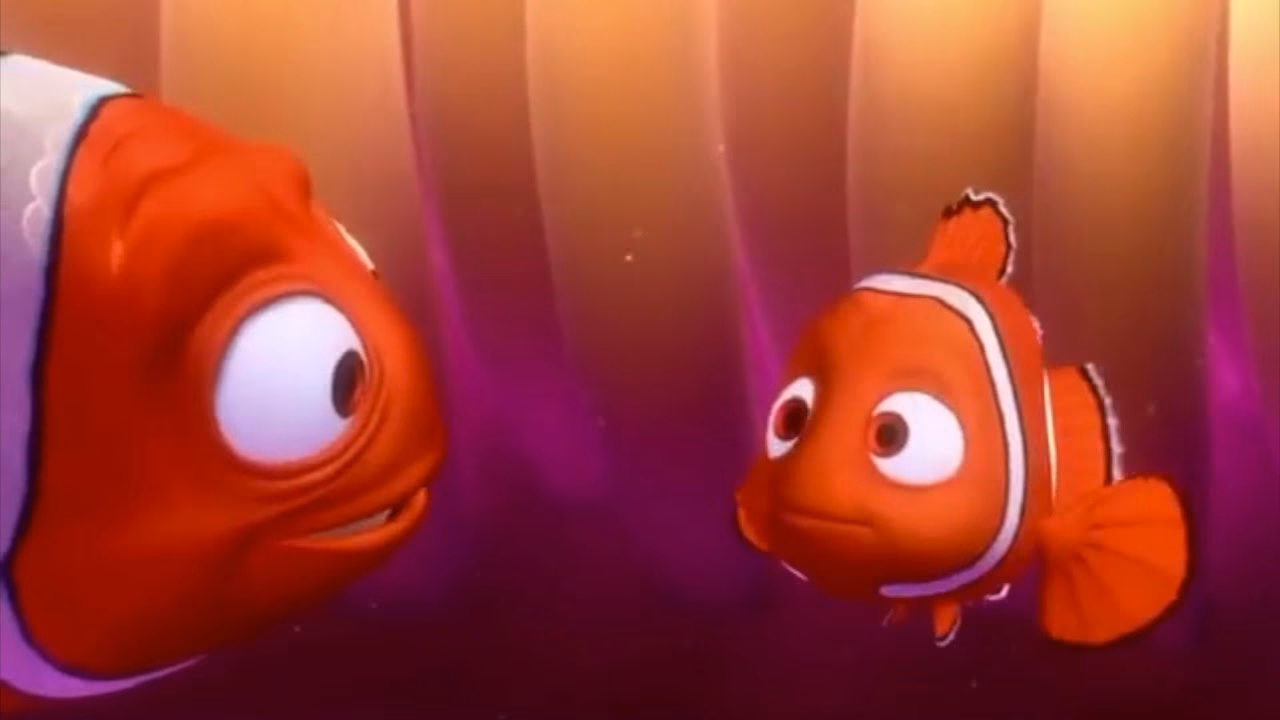 ¿Cuál es la frase del día de hoy de Buscando a Nemo?