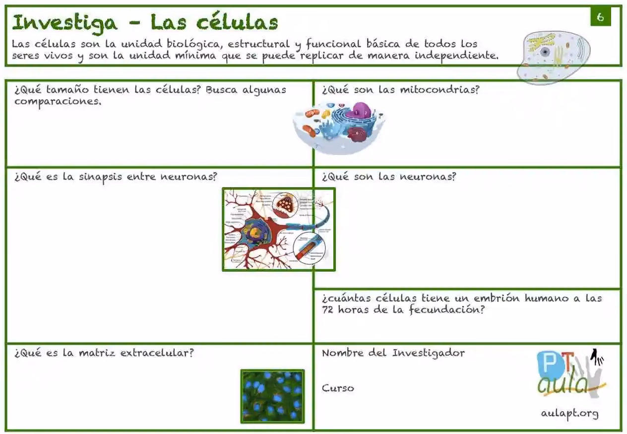 ¿Qué es la célula para niños de cuarto grado de primaria?