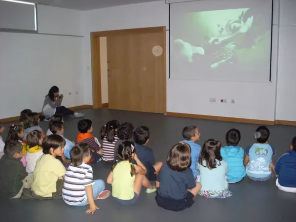 ¿Por qué es importante el cine en la escuela?