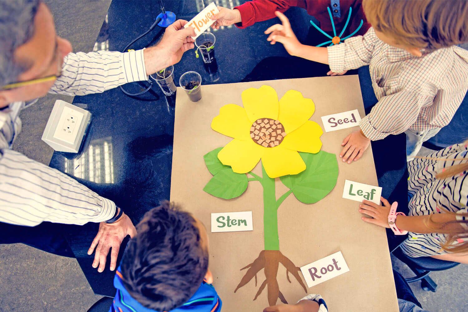 ¿Cuáles son los 4 principios del CLIL?