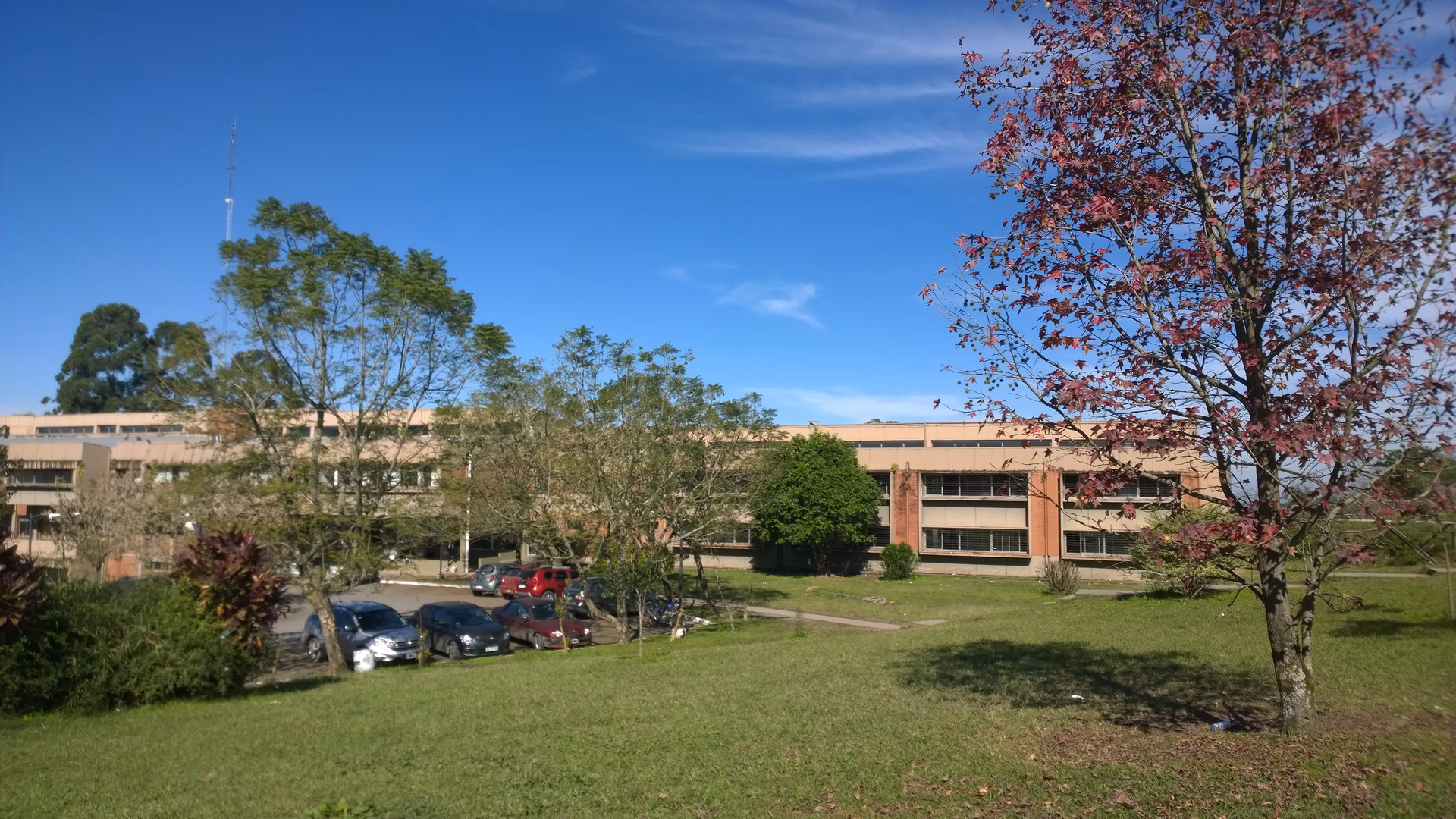 ¿Qué es la escuela de agricultura?