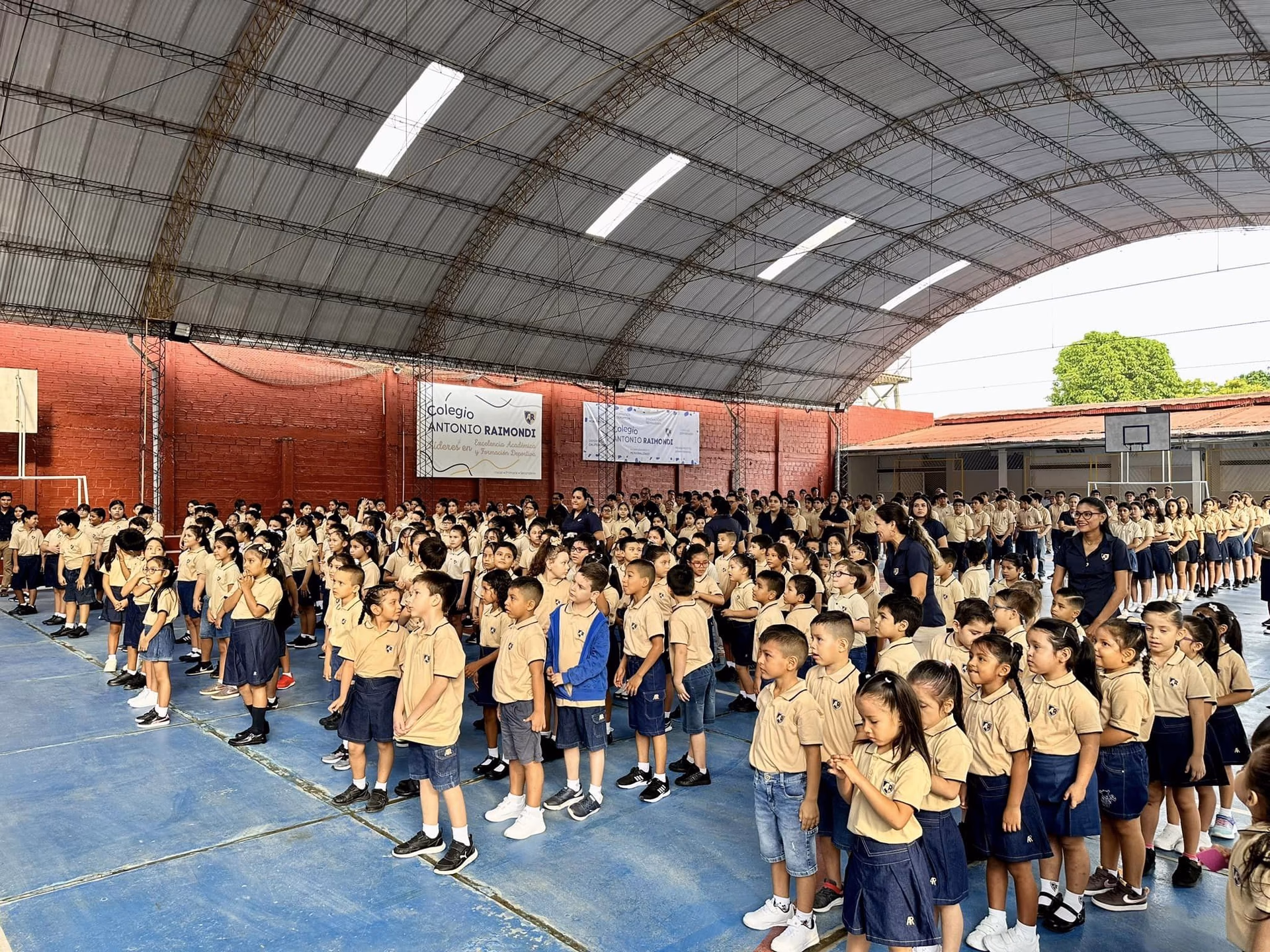 ¿Cuánto está el Antonio Raimondi?