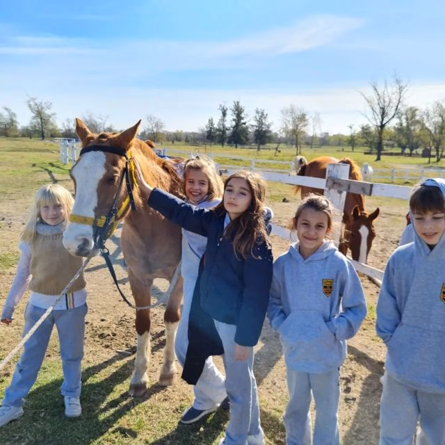 ¿Qué colegio es CSB?