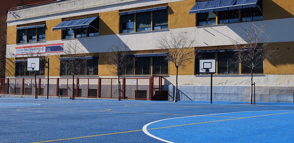 ¿Cuántos años cumple el colegio Carlos Vice?