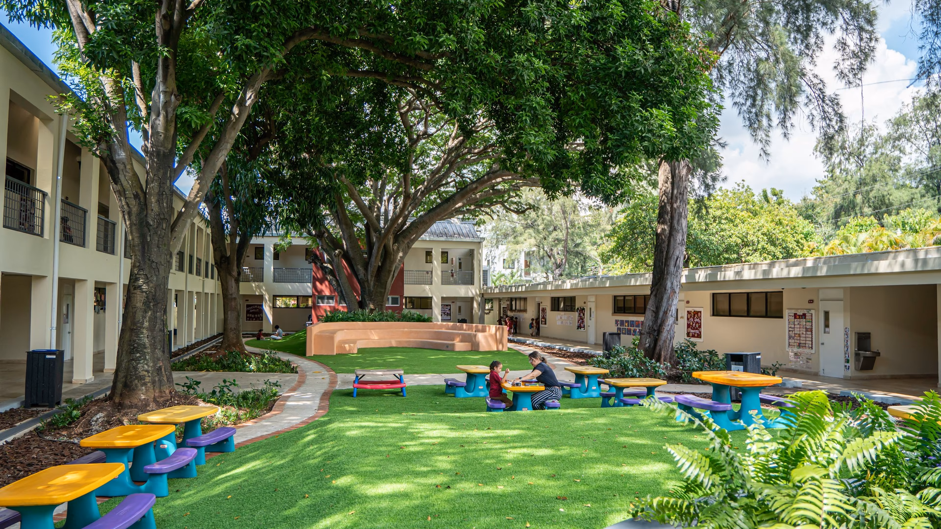 ¿Cuál es el origen de la escuela CMS?