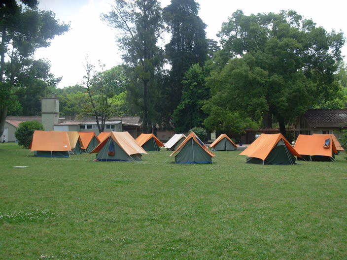 ¿Qué crea la escuela?