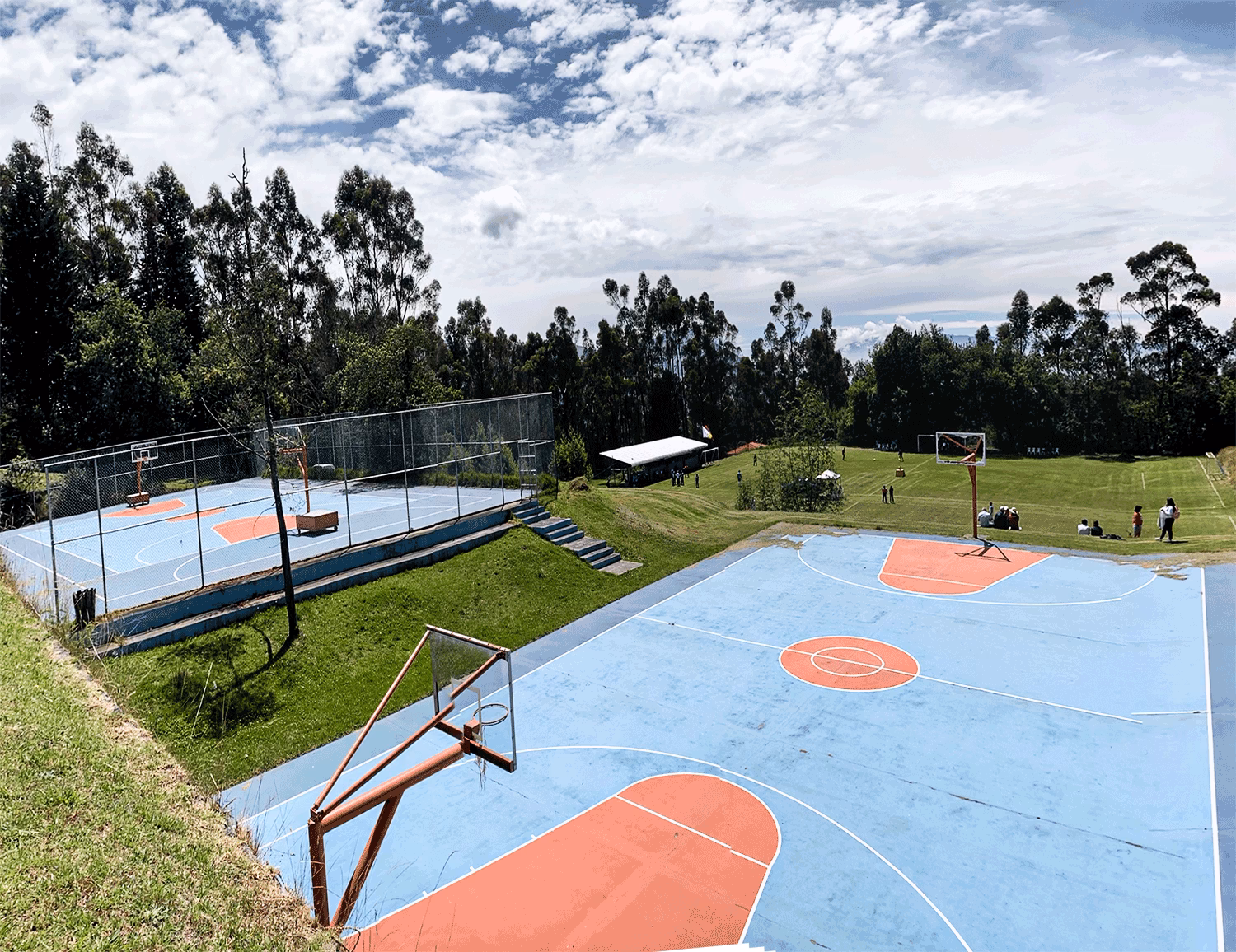 ¿Quién es el presidente del Colegio de Abogados de Pichincha?