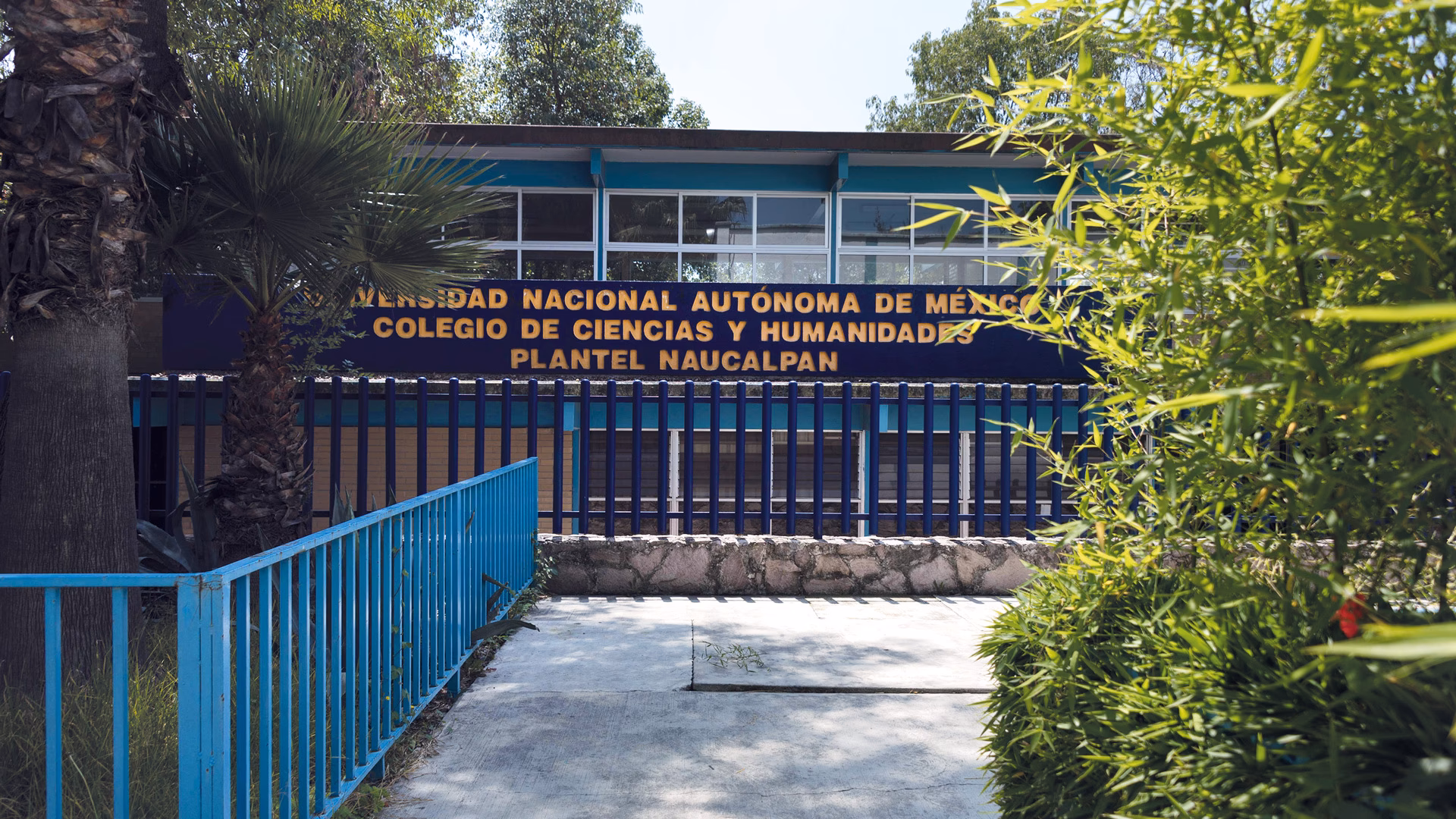 ¿Qué es el Colegio de Ciencias y Humanidades?