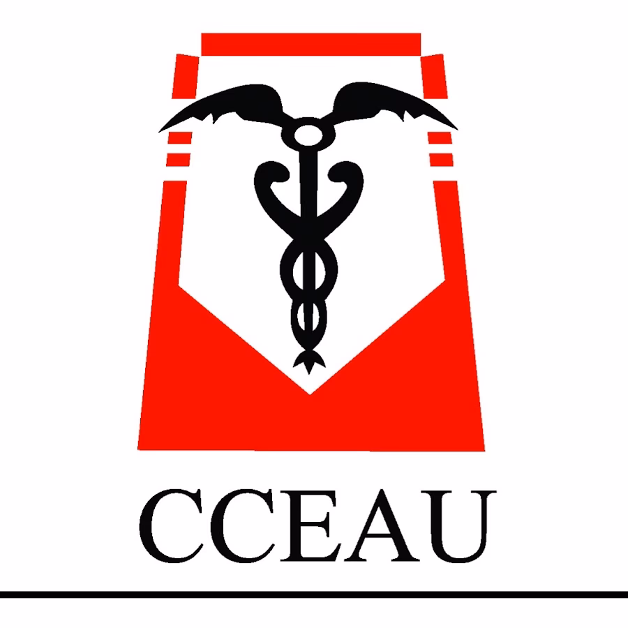 ¿Cuánto cobra un contador en Uruguay por servicio?