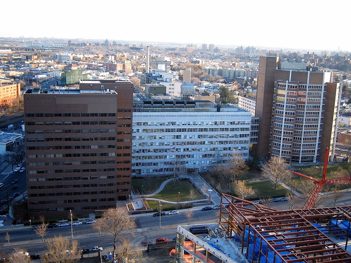 ¿Es Albert Einstein una escuela de medicina?