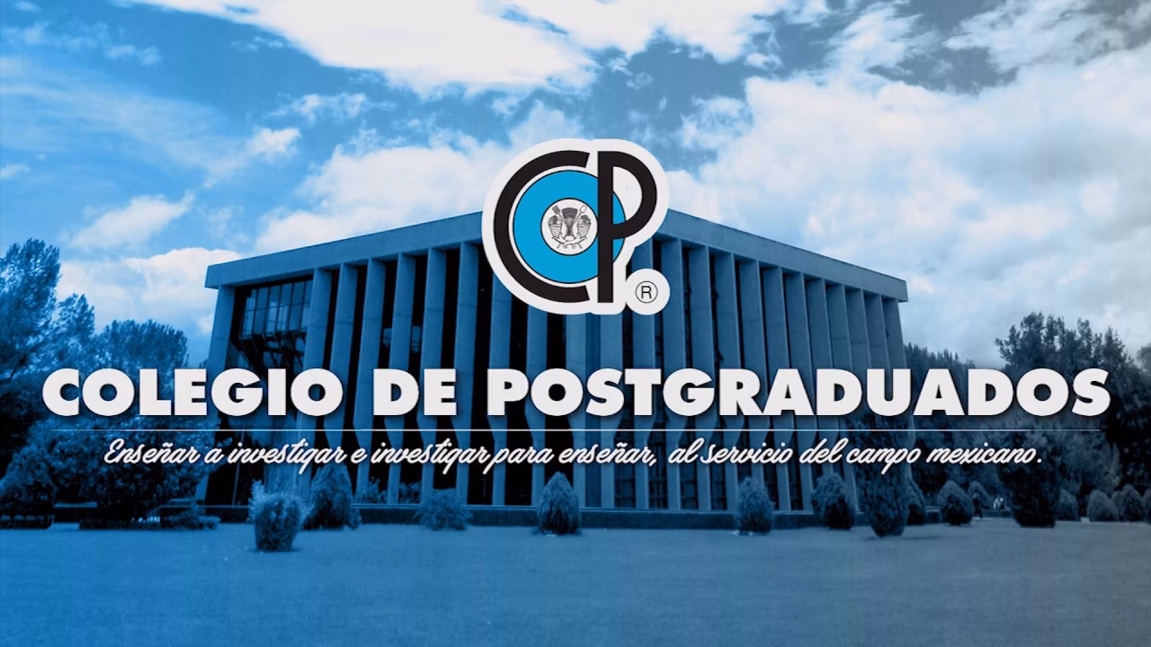 ¿Qué es el Colegio de Postgraduados?