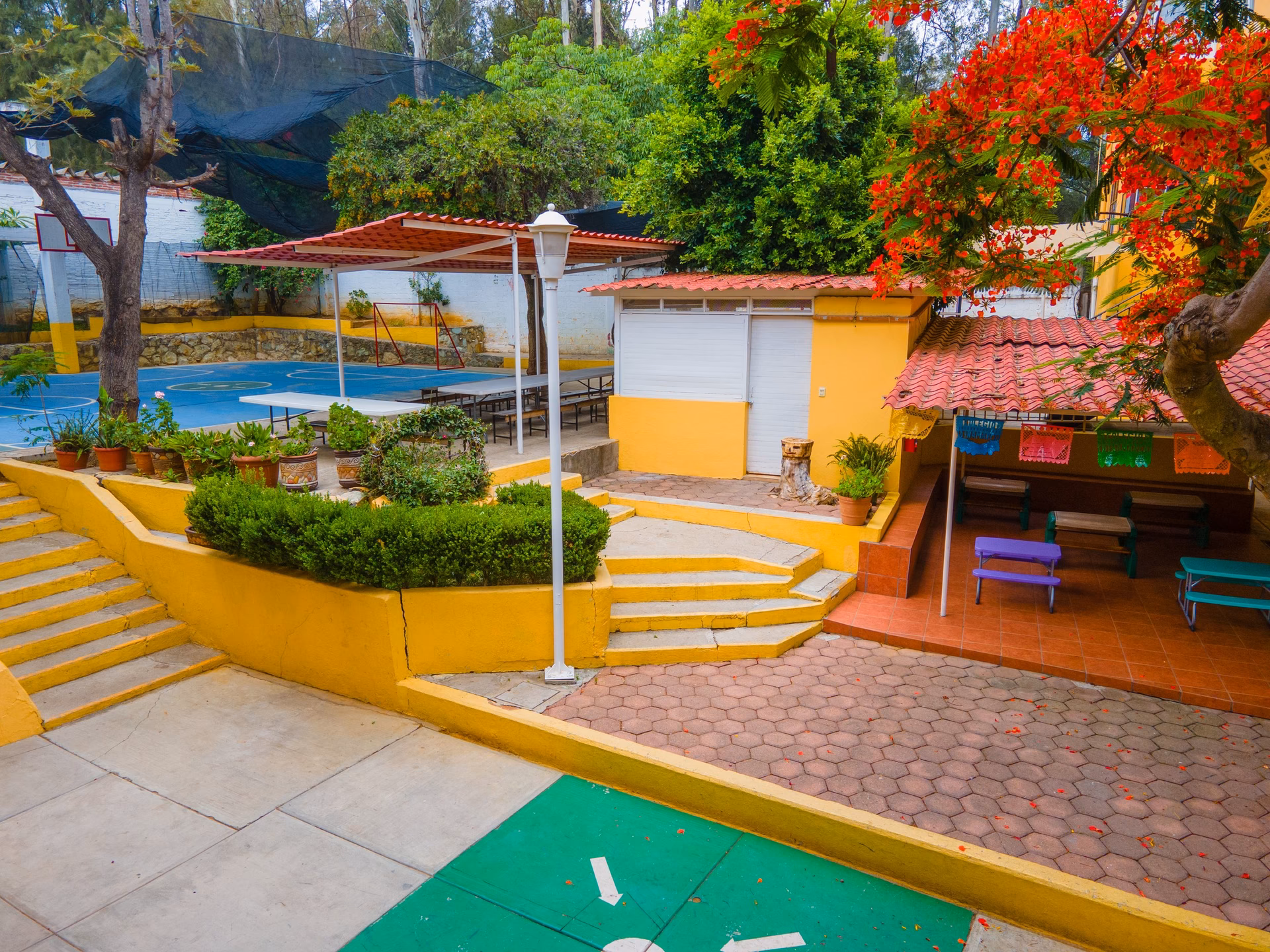 ¿Cuánto cuesta el colegio en Dinamarca?