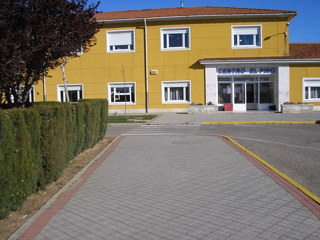 ¿Cuántos años tiene el colegio Los Pinos?