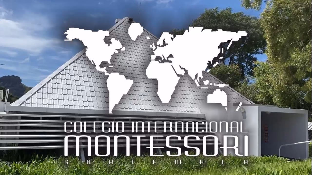 ¿Qué es Montessori International School?