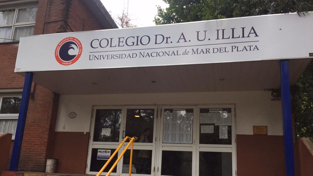 ¿Qué quiere decir colegio universitario?