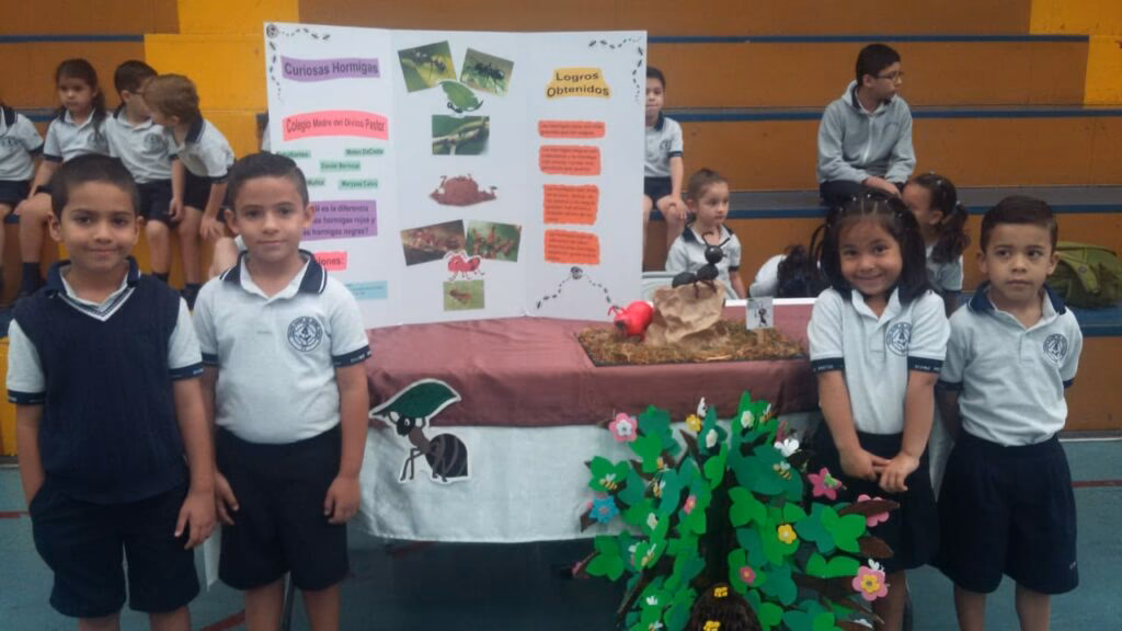 ¿Qué pasó con el colegio Madre del Divino Pastor?