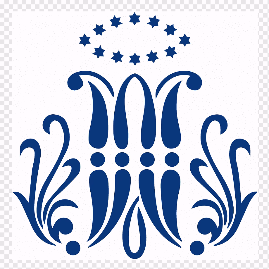 ¿Qué es una escuela marista?