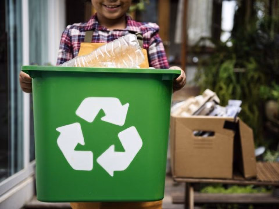 ¿Qué es la escuela ambiental?