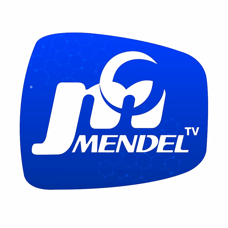 ¿Cuáles son los valores del colegio Mendel?