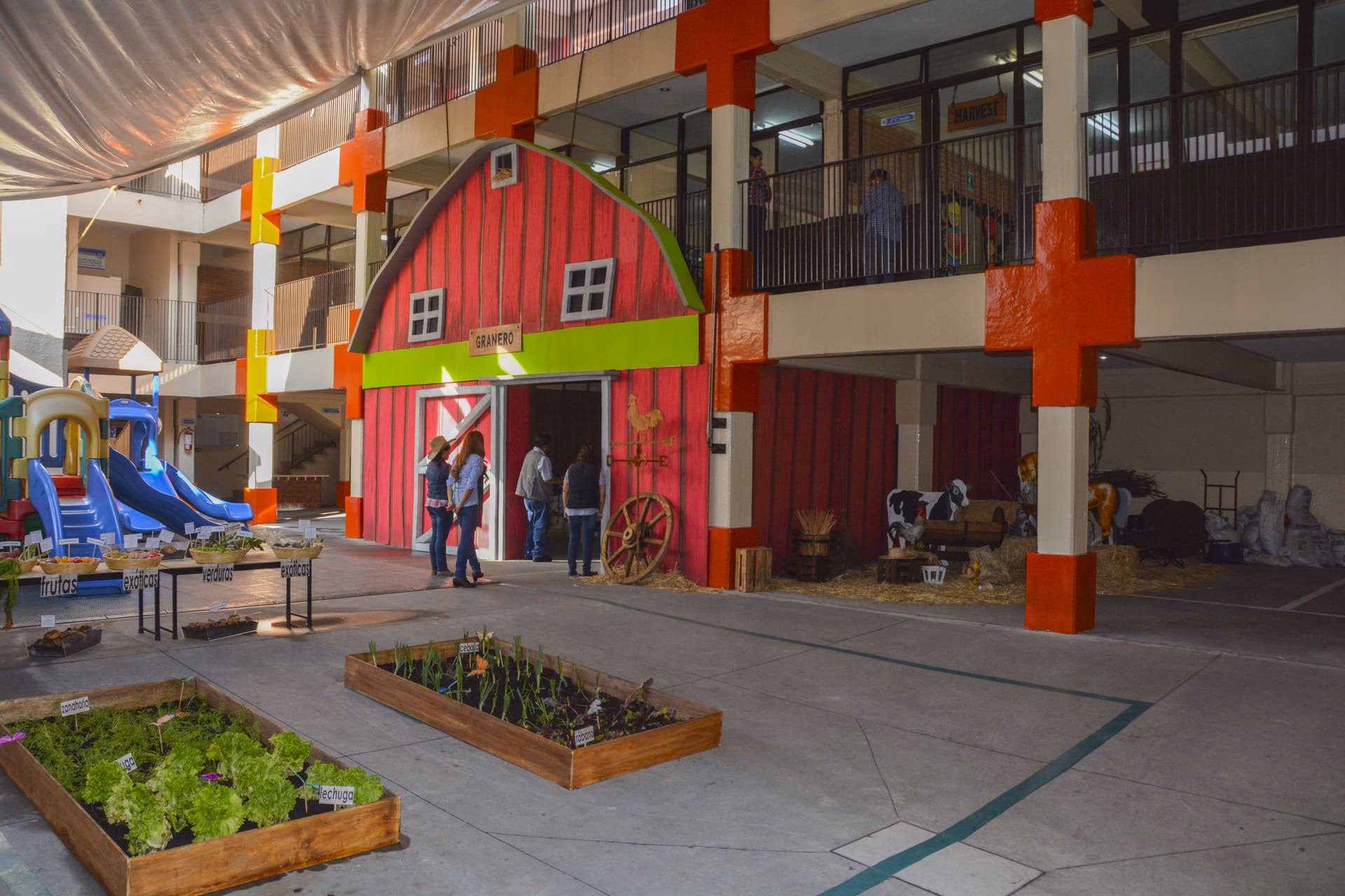 ¿Qué tan buena es la escuela Montessori?