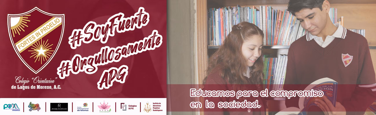 ¿Qué significa orientación en un colegio?