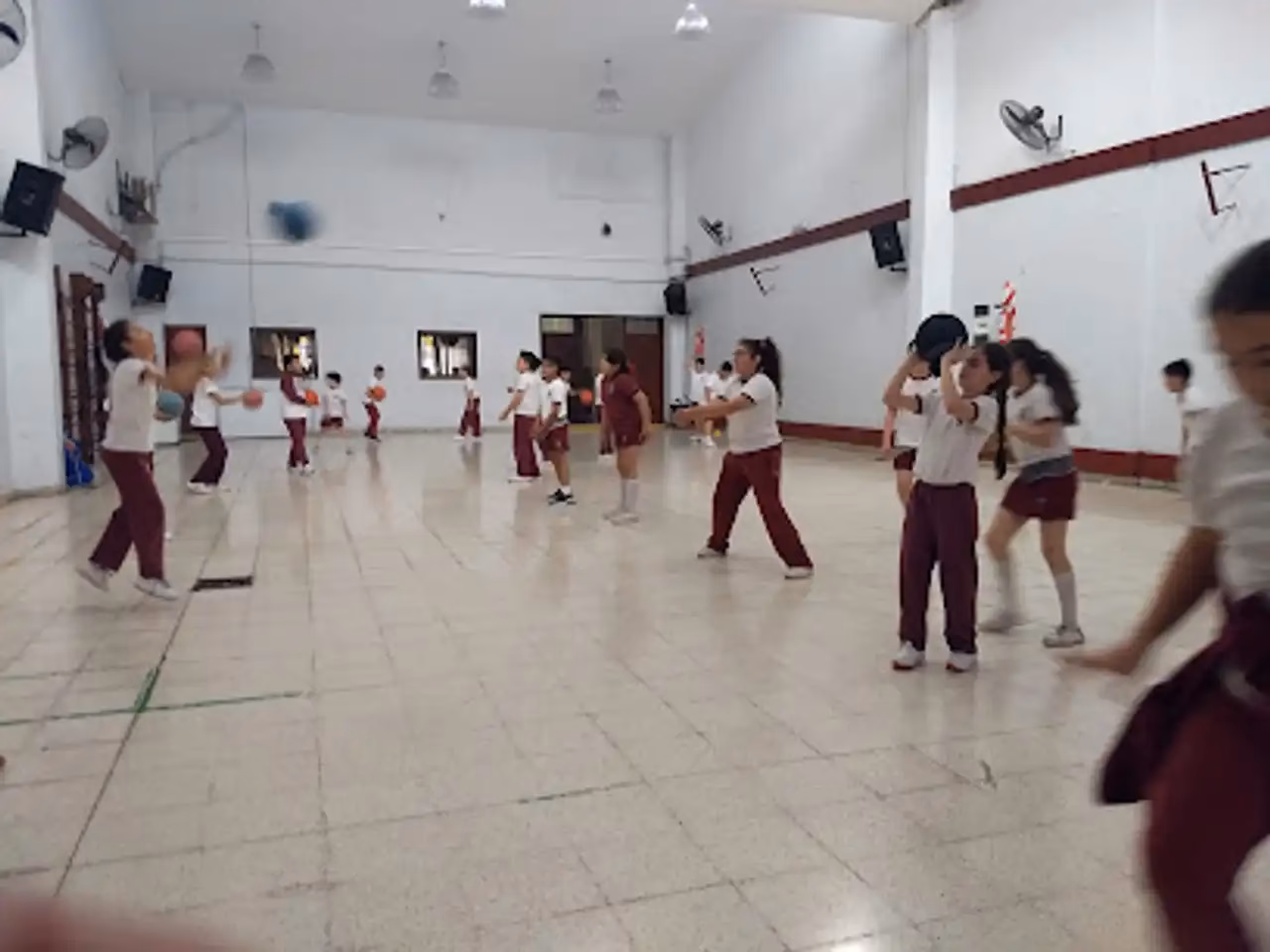 ¿Cuándo se creó el colegio San Carlos?