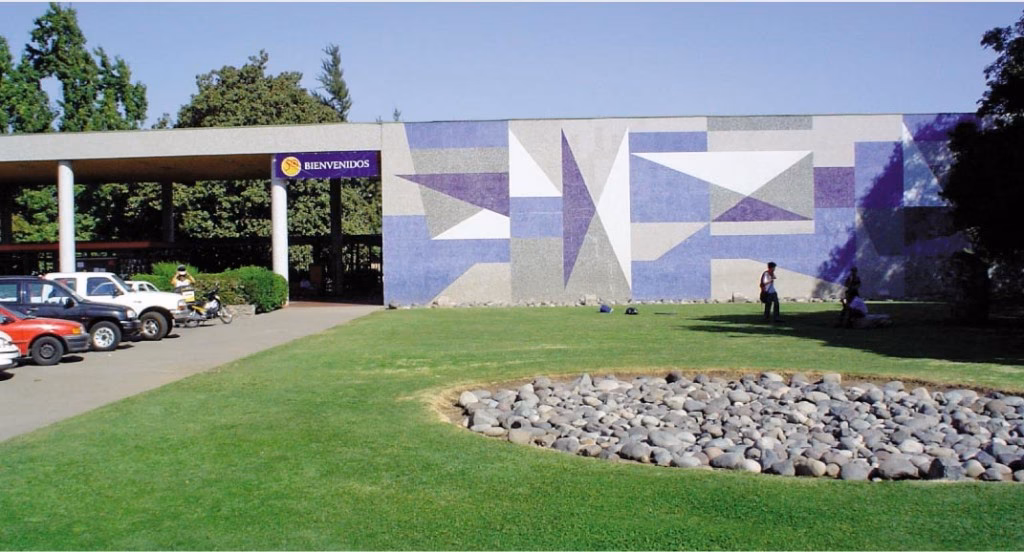 ¿Quién es la directora del Colegio San Ignacio El Bosque?