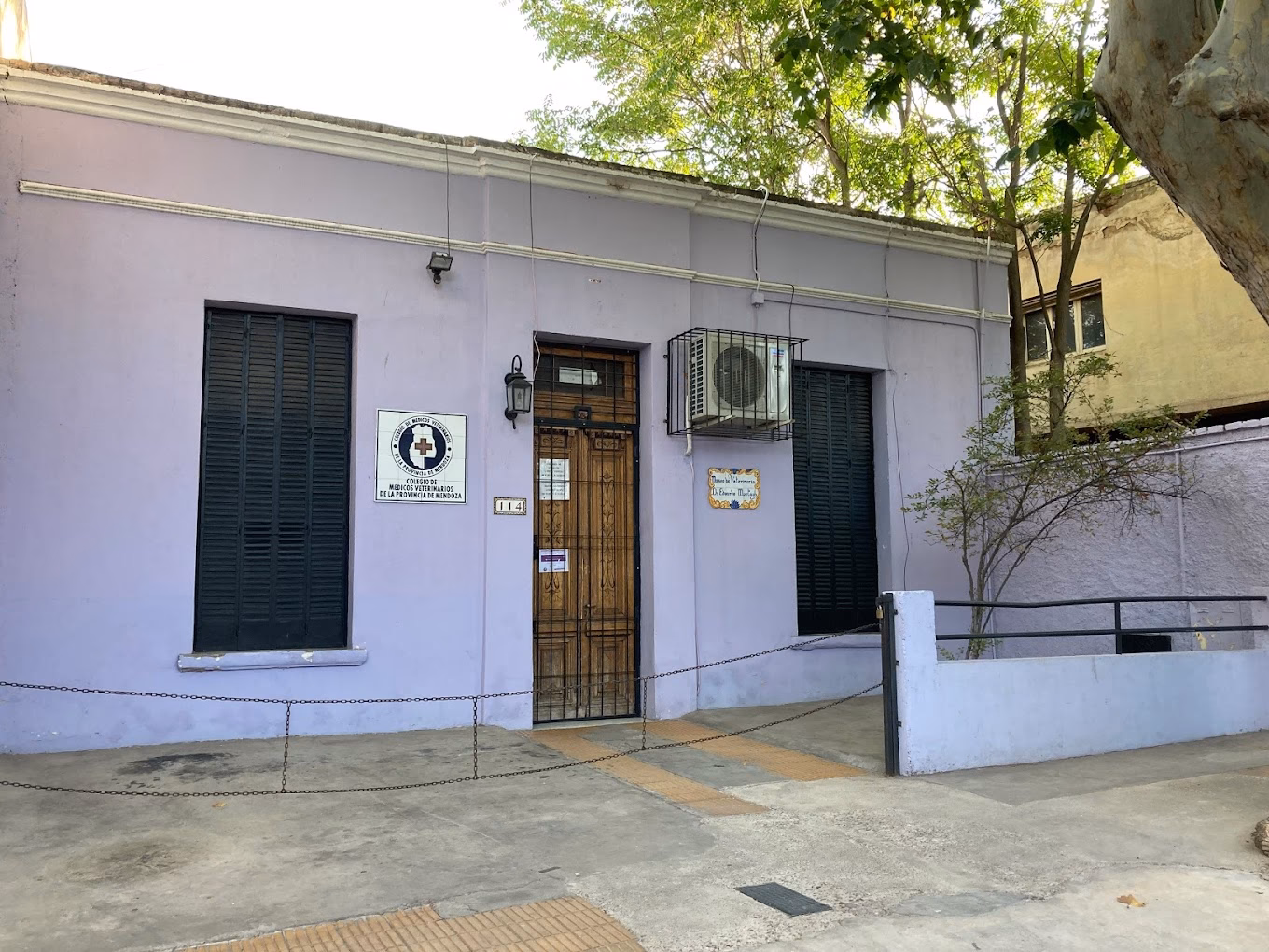 ¿Qué hacer si no tengo dinero para llevar a mi mascota al veterinario?
