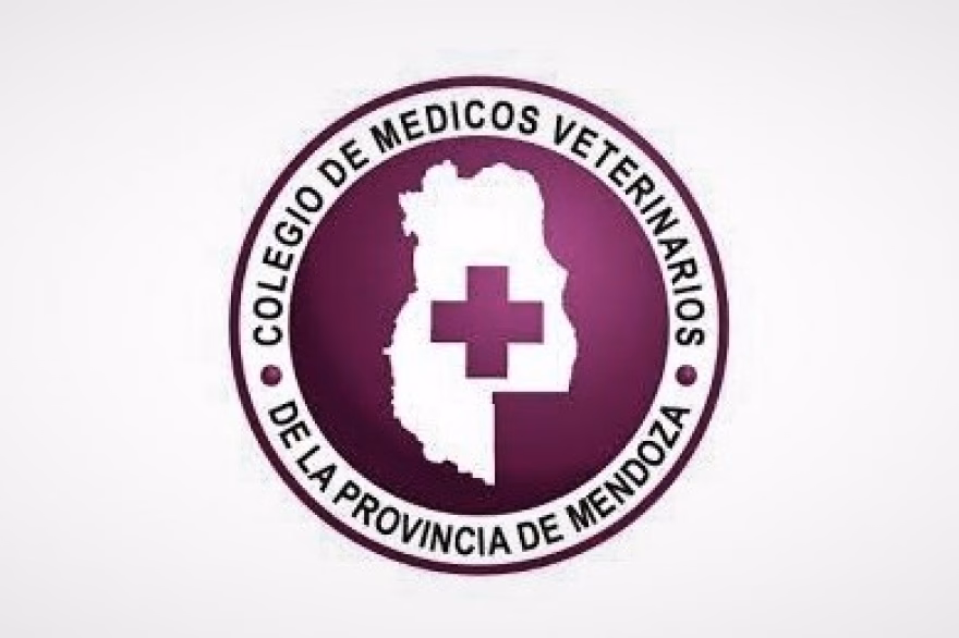 ¿Qué hacer si no tengo dinero para llevar a mi mascota al veterinario?