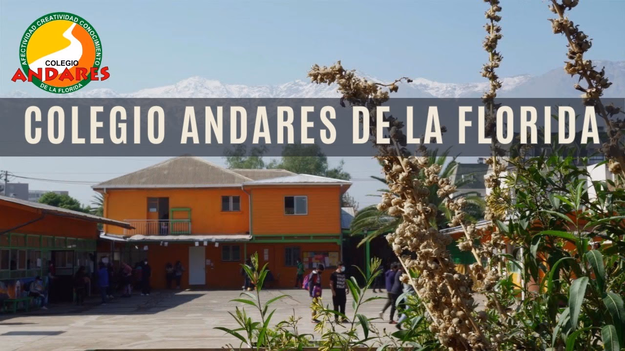 ¿Cuánto cuesta el colegio Manantial de la Florida?