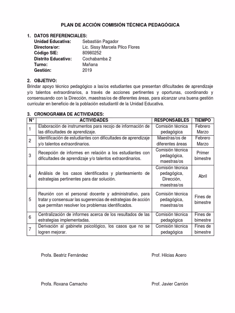 ¿Qué es la comisión técnico pedagógica?