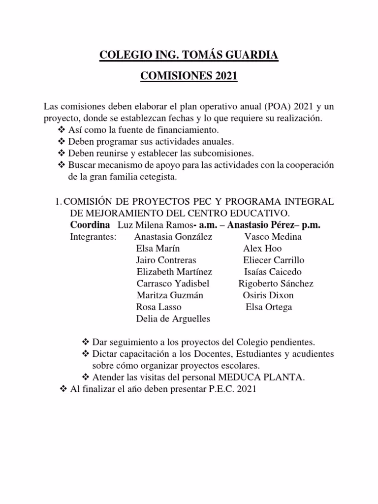 ¿Qué son las comisiones estudiantiles?
