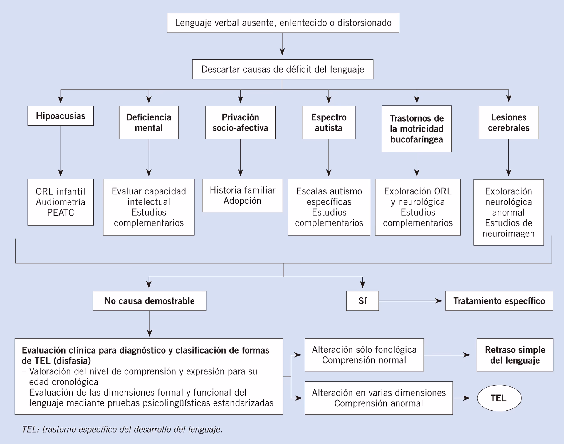 ¿Cómo detectar un trastorno del lenguaje en el aula?