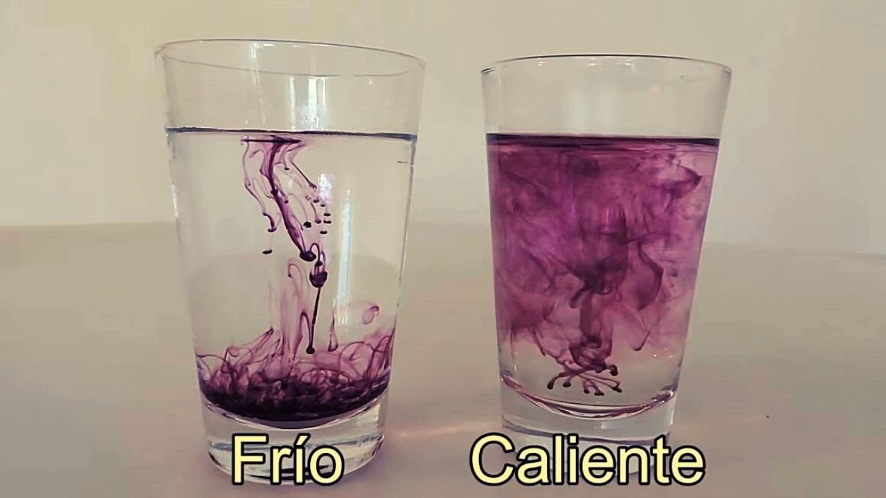 ¿Cómo enseñar flotabilidad?