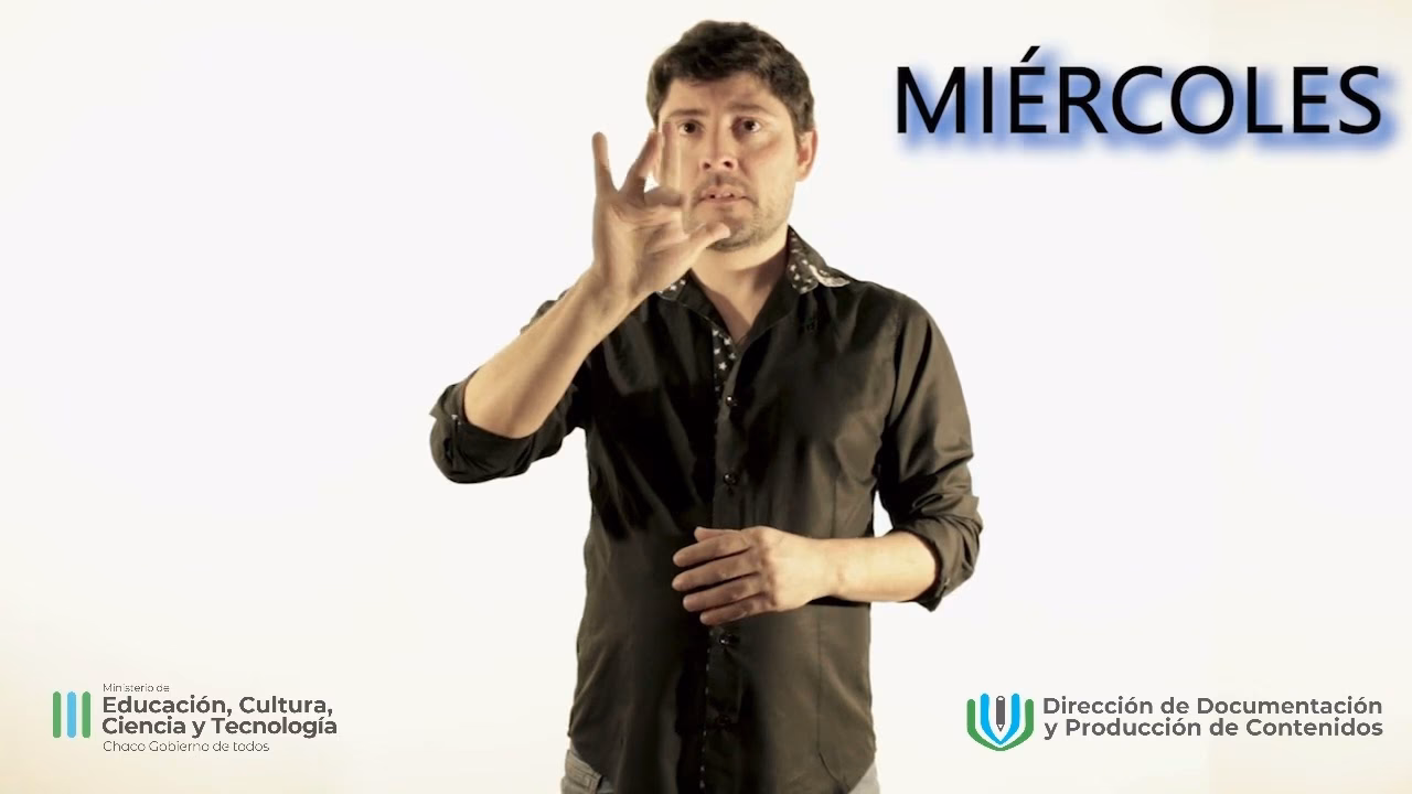 ¿Cuáles son los 5 elementos de la lengua de señas?