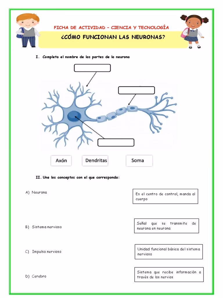 ¿Cómo se puede aplicar la neuroeducación en el aula?