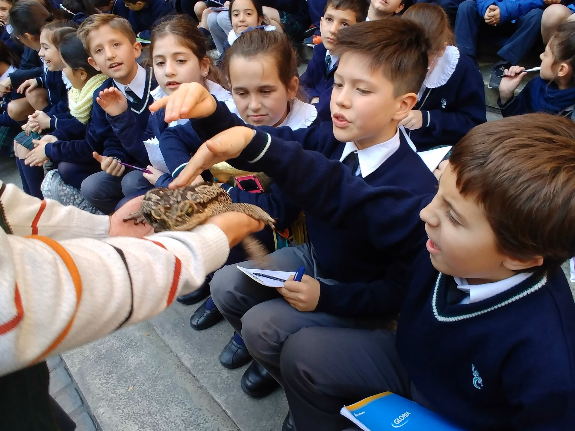 ¿Cuál es la concepción de la educación?
