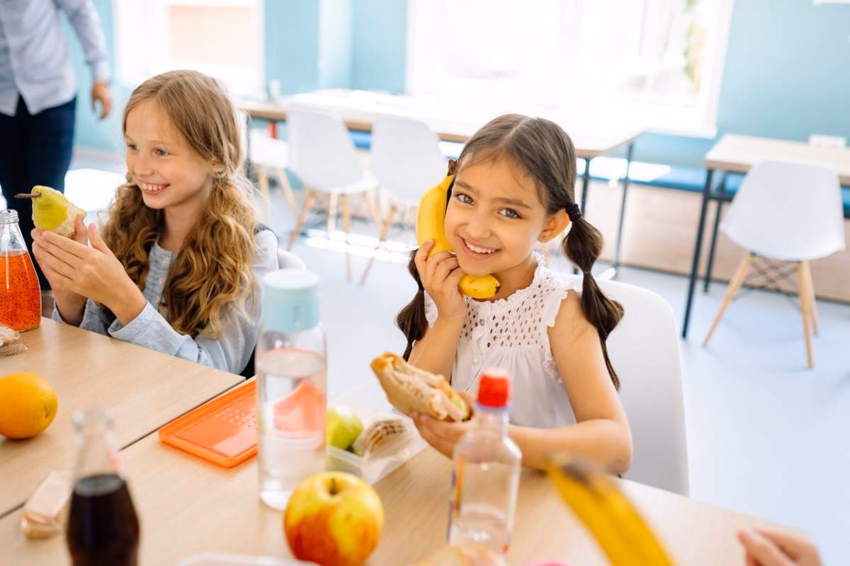 ¿Cuáles son las conductas saludables?