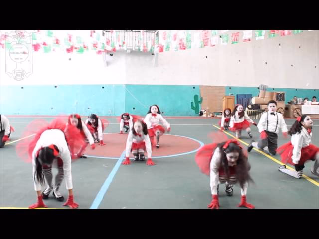 ¿Cuáles son los 4 componentes coreográficos?