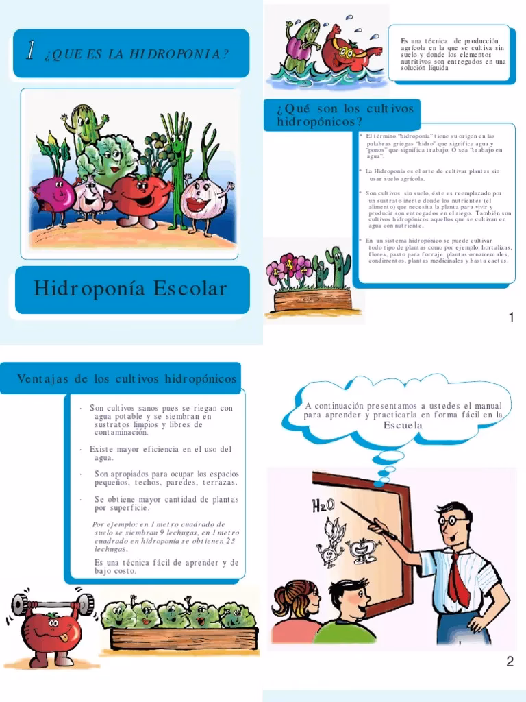 ¿Qué es la hidroponía para niños de primaria?